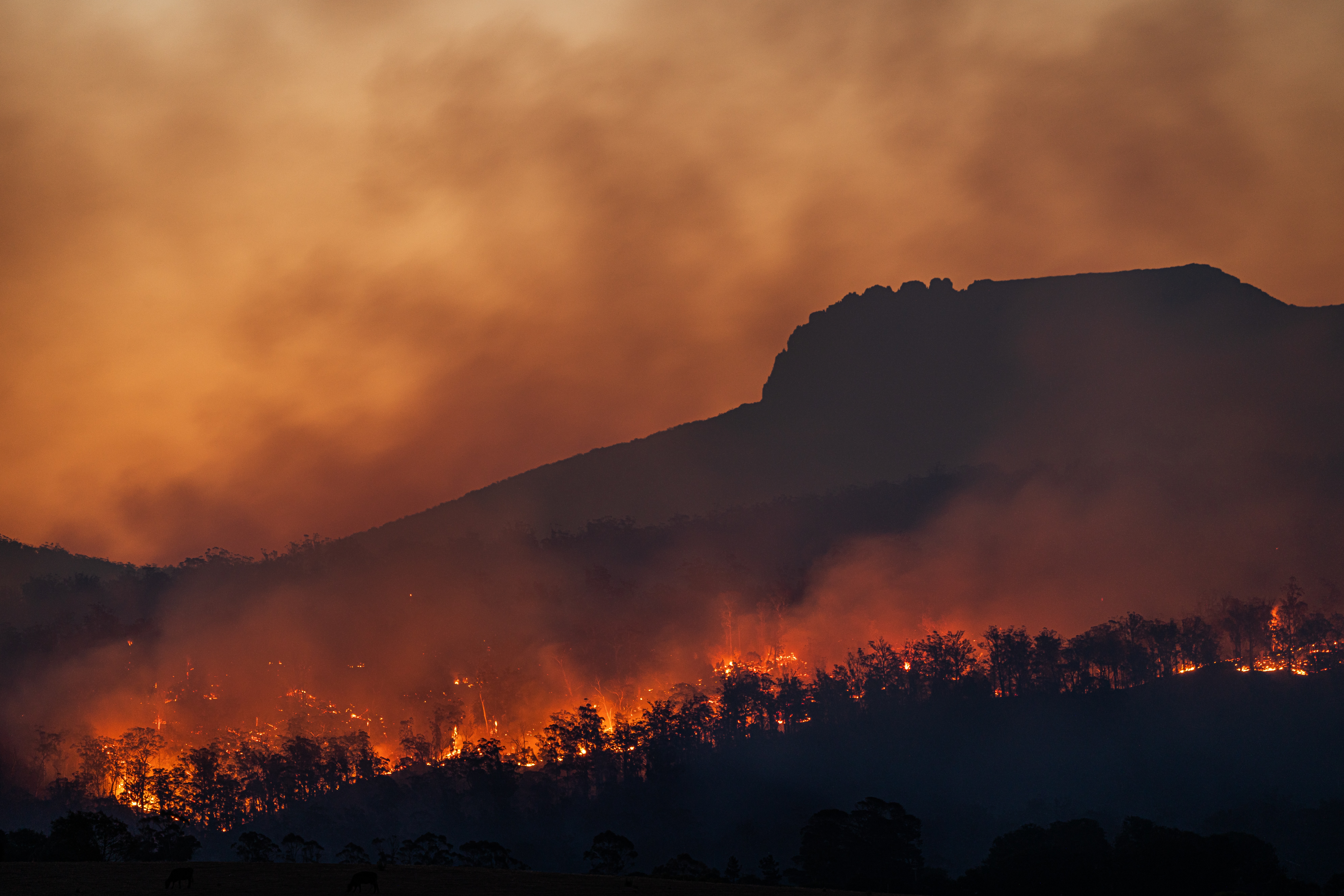 Bushfires below Stacks Bluff, Tasmania, Australia