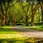 photo of empty park during daytime