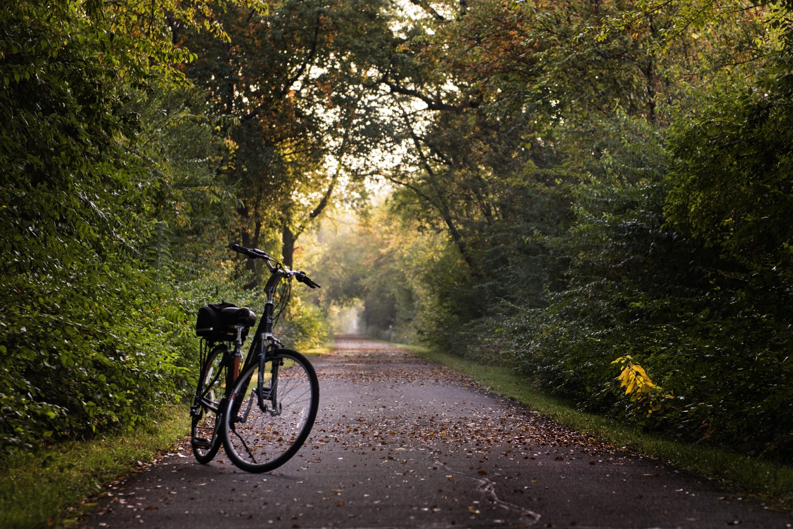 bike, trail, bicycle