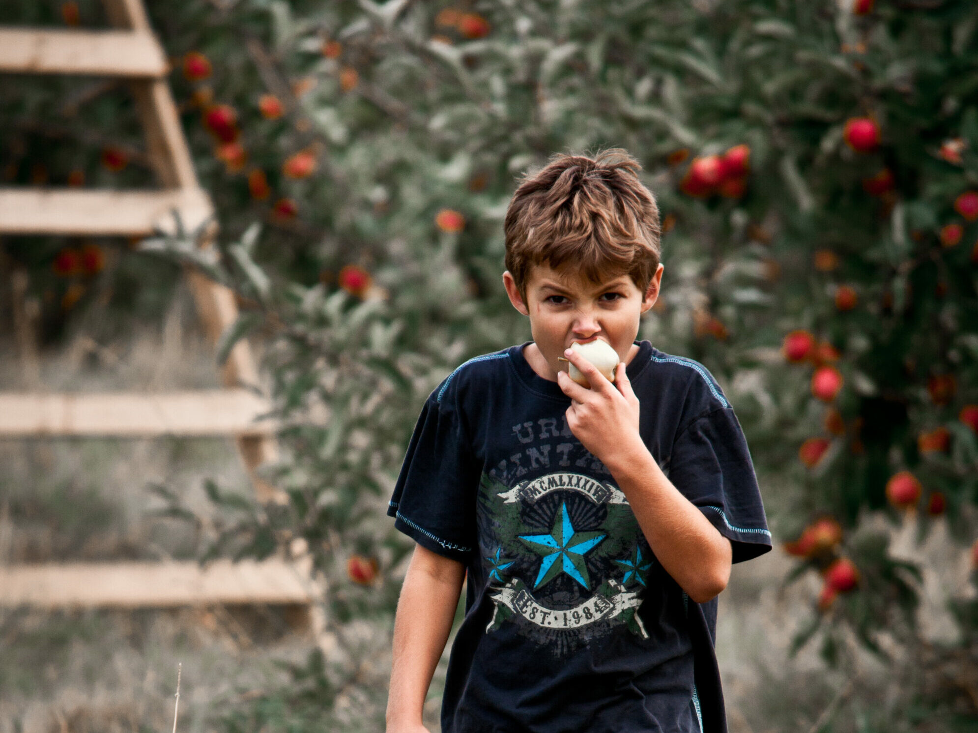 Photo of boy eating an apple