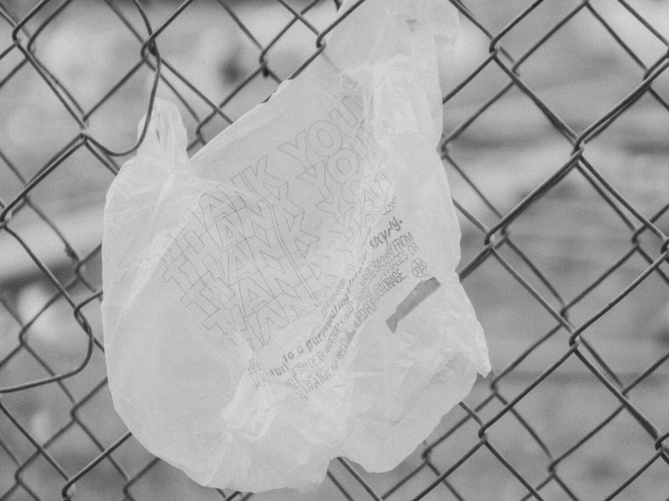 Baltimore County Council passes amendments to plastic bag ban two weeks