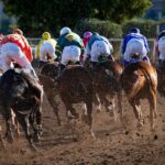 Turf Paradise race track in Phoenix, Arizona