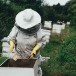 Deans Court beekeeper