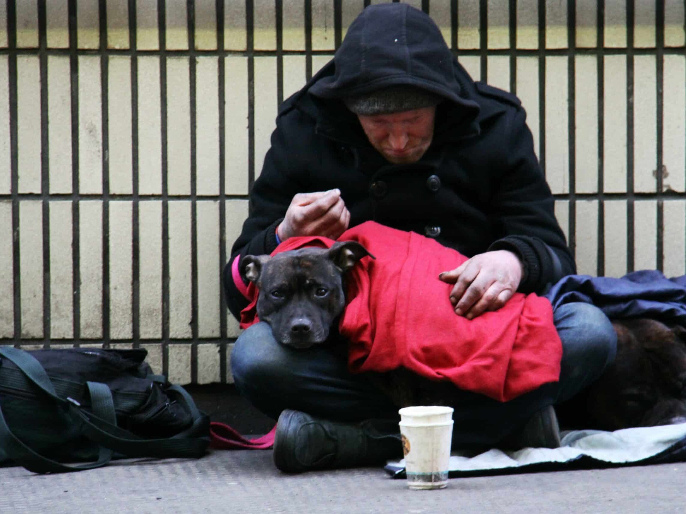 I was working in London and came across this homeless man on the street.  As I went to take this photograph to raise the plight of the homeless, his dog looked right at me with such sorrowful eyes.  It was then that I noticed the larger dog, curled up beside him.  I went to a local store, bought some dog food and him a BK Meal and drink.  Since then, each year, rather than buying Christmas cards for family and friends, I always donate enough money to give a homeless person a shower, clothes and cooked meal and a place to stay on Christmas Day, via the UK charity, Crisis.