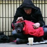 I was working in London and came across this homeless man on the street.  As I went to take this photograph to raise the plight of the homeless, his dog looked right at me with such sorrowful eyes.  It was then that I noticed the larger dog, curled up beside him.  I went to a local store, bought some dog food and him a BK Meal and drink.  Since then, each year, rather than buying Christmas cards for family and friends, I always donate enough money to give a homeless person a shower, clothes and cooked meal and a place to stay on Christmas Day, via the UK charity, Crisis.