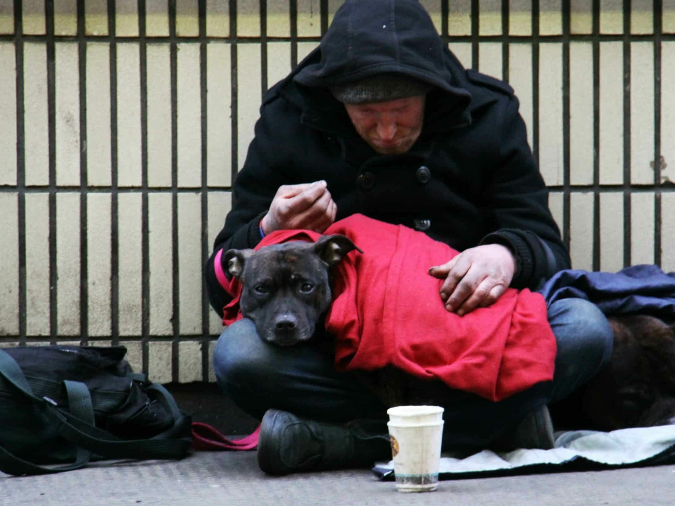 I was working in London and came across this homeless man on the street.  As I went to take this photograph to raise the plight of the homeless, his dog looked right at me with such sorrowful eyes.  It was then that I noticed the larger dog, curled up beside him.  I went to a local store, bought some dog food and him a BK Meal and drink.  Since then, each year, rather than buying Christmas cards for family and friends, I always donate enough money to give a homeless person a shower, clothes and cooked meal and a place to stay on Christmas Day, via the UK charity, Crisis.