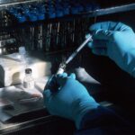 Vaccine. Hands of a scientist, under a sterile hood, preparing the carcinoembryonic antigen (CEA) vaccinia used to try to prevent cancer. The scientist is diluting the concentrated vaccinnia virus into a dose level appropriate for administration to a patient. This vaccinnia marks any cancer cells expressing the CEA.