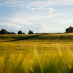 green grass field with house during daytime