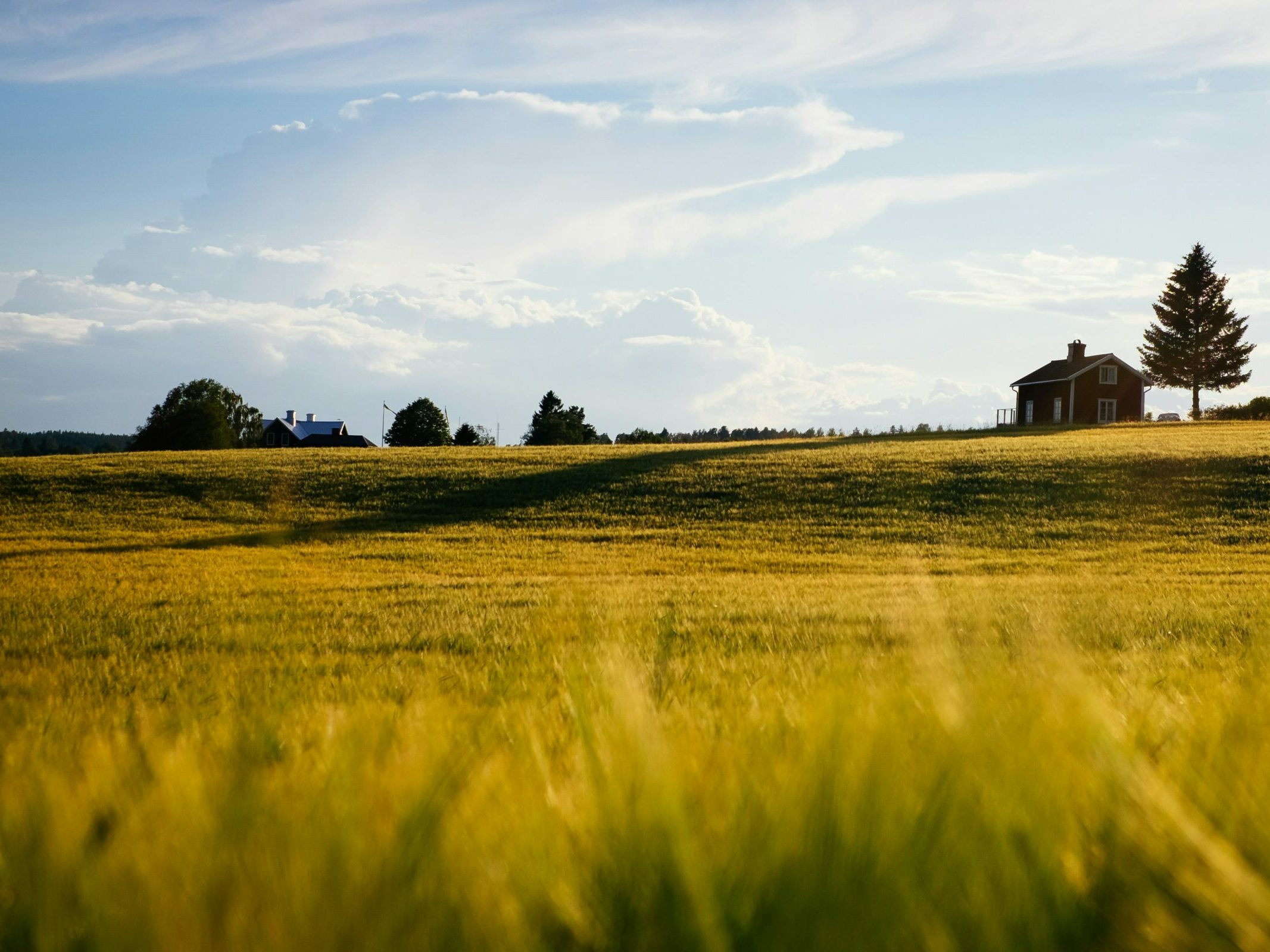 green grass field with house during daytime