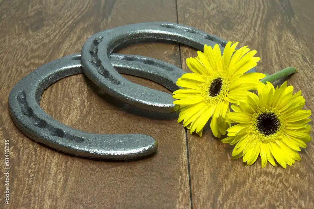 Preakness Stakes Black Eyed Susans with Horseshoes on Wood