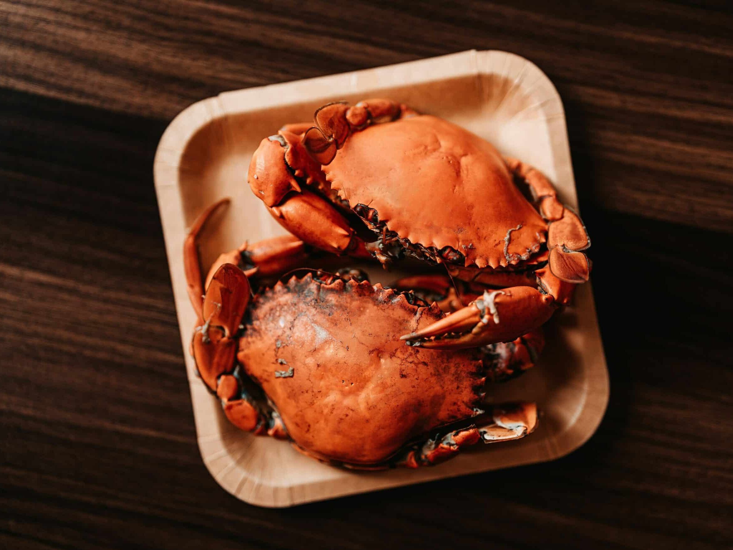 a close up of a plate of crab on a table