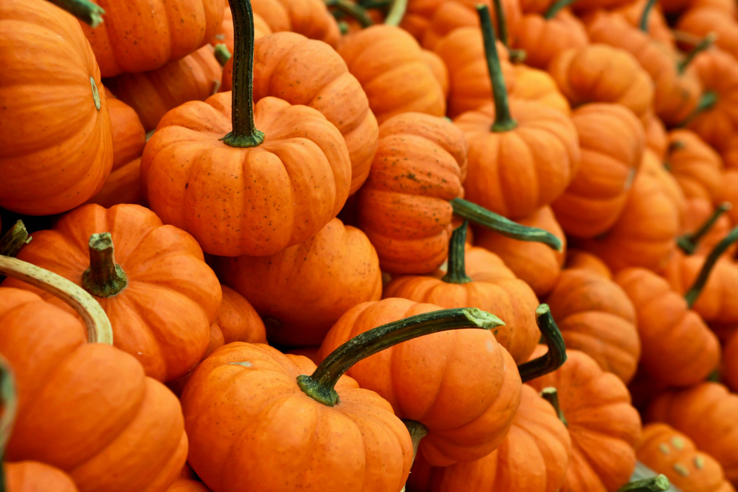 Halloween Pumpkins